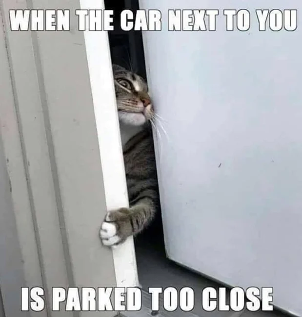 BadParking.webp