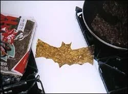 bats-1.webp