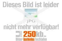be551fa6-1.webp