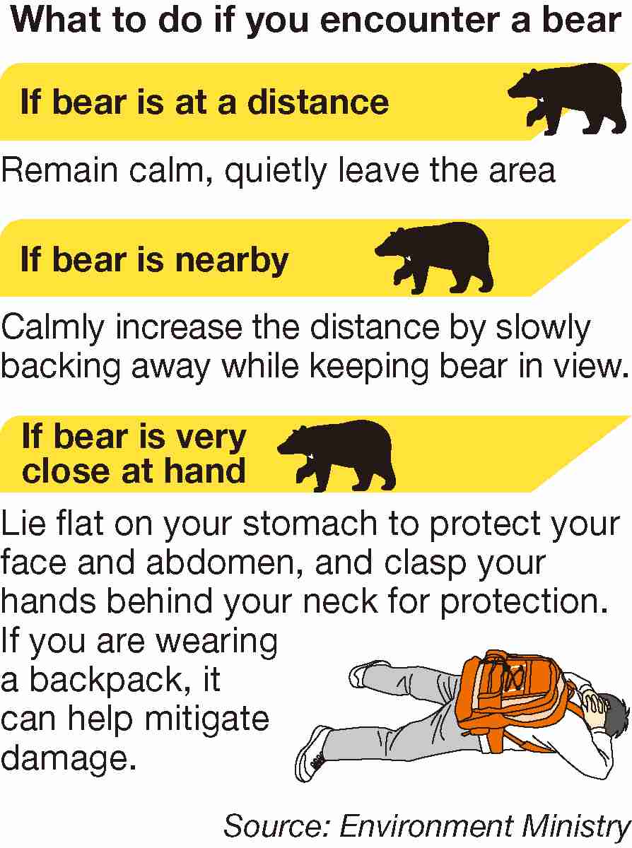 Bear manual 