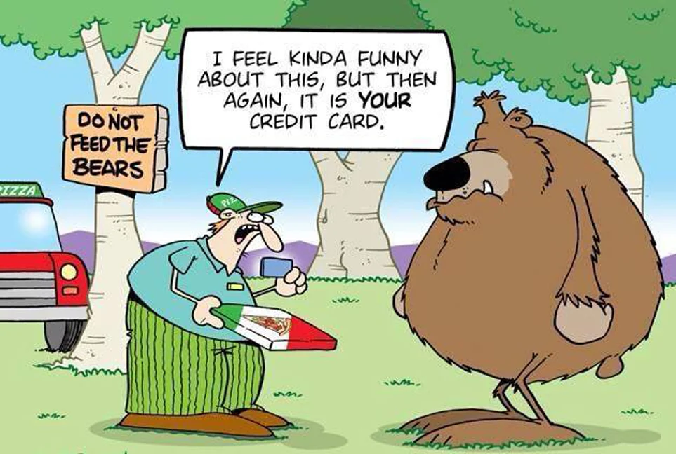 bear.webp