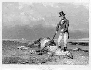 BeatDeadHorsegif-1.webp