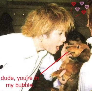 bellebubble-1.webp