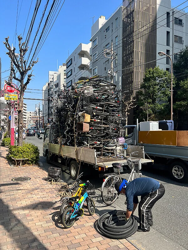 bicycle-collector.webp