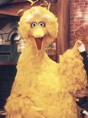 Bigbird-1.webp