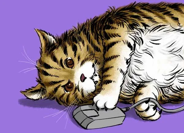 bigcat-1.webp