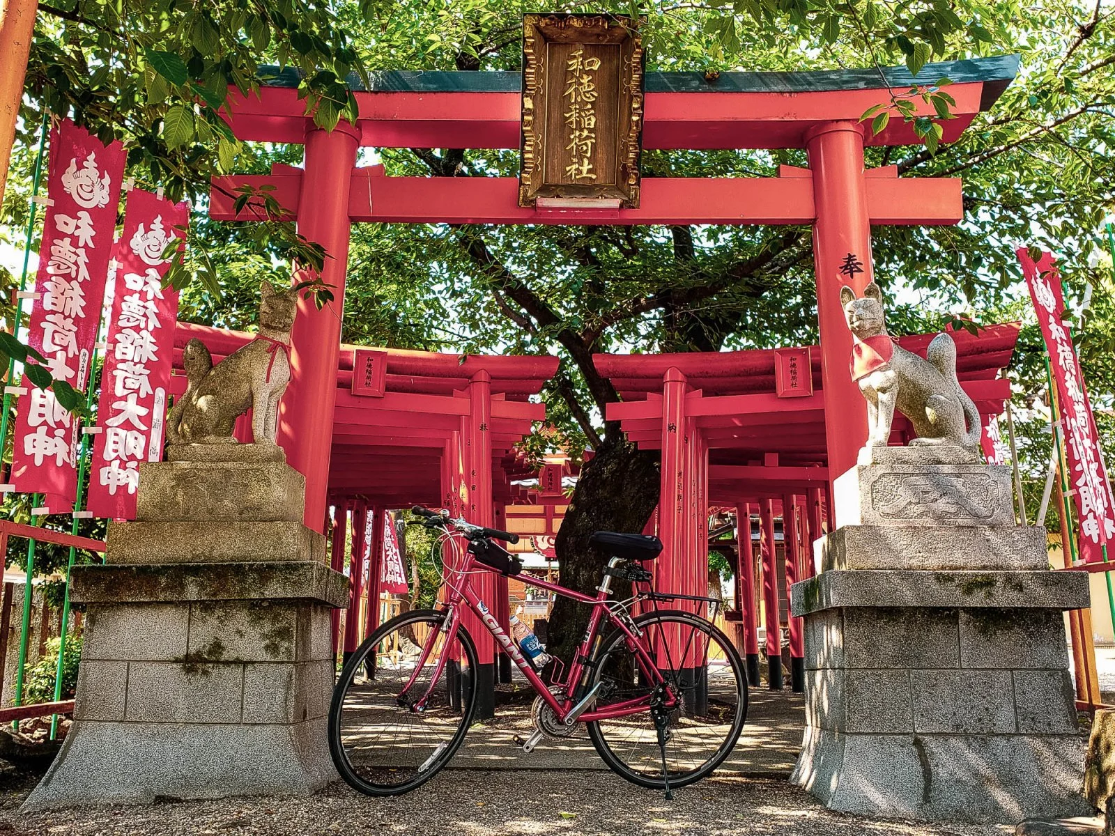 bike.webp