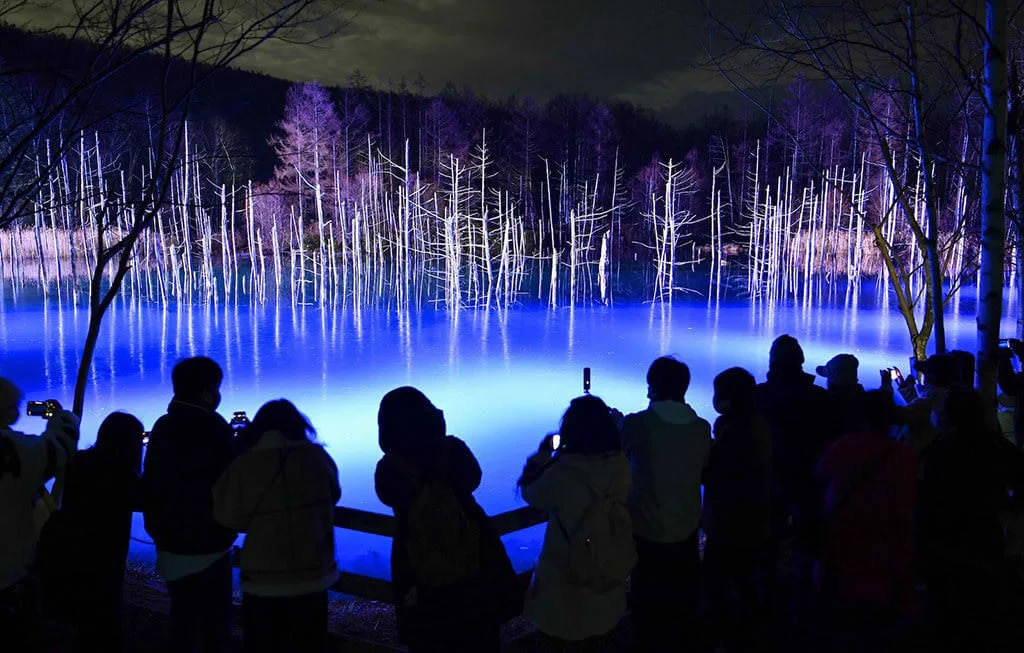 blue-pond-night-illumination.jpg
