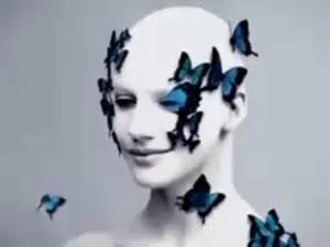 Bluebutterflyjpgt1229039067-1.webp