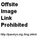 boacamels-1.jpg.webp