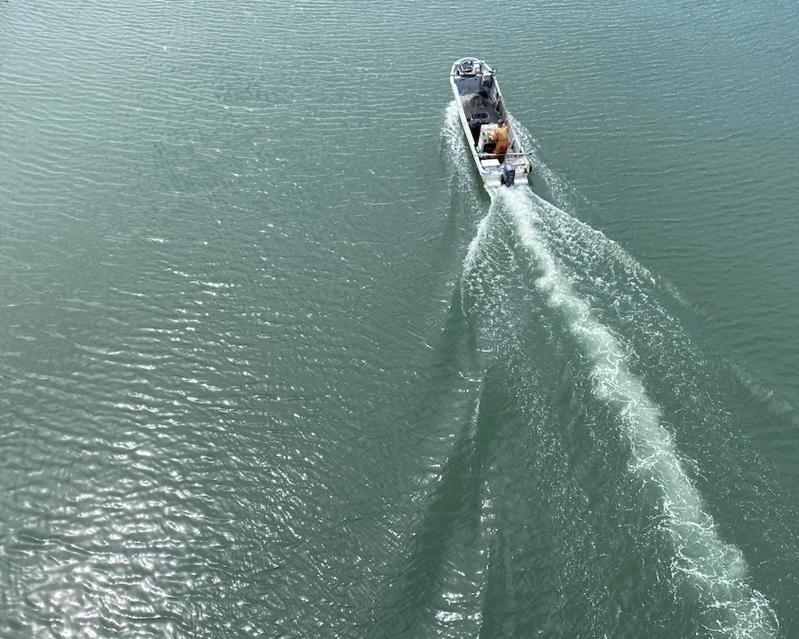 boat above.webp