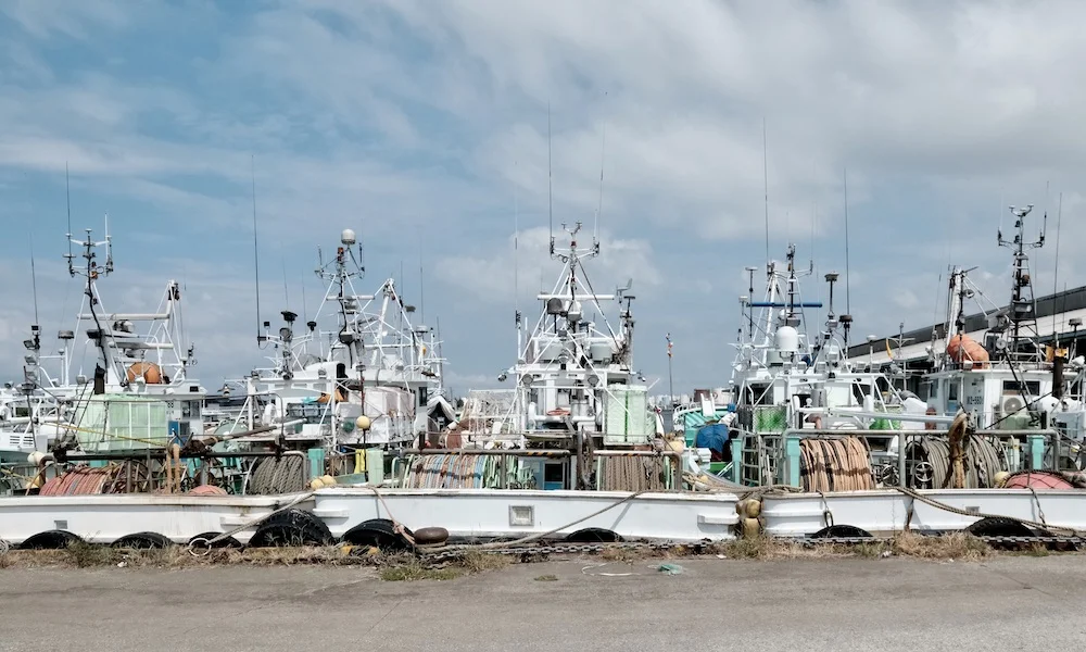 boats.webp