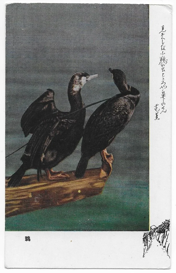 Boids.jpg