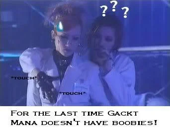 boobies1-1.webp