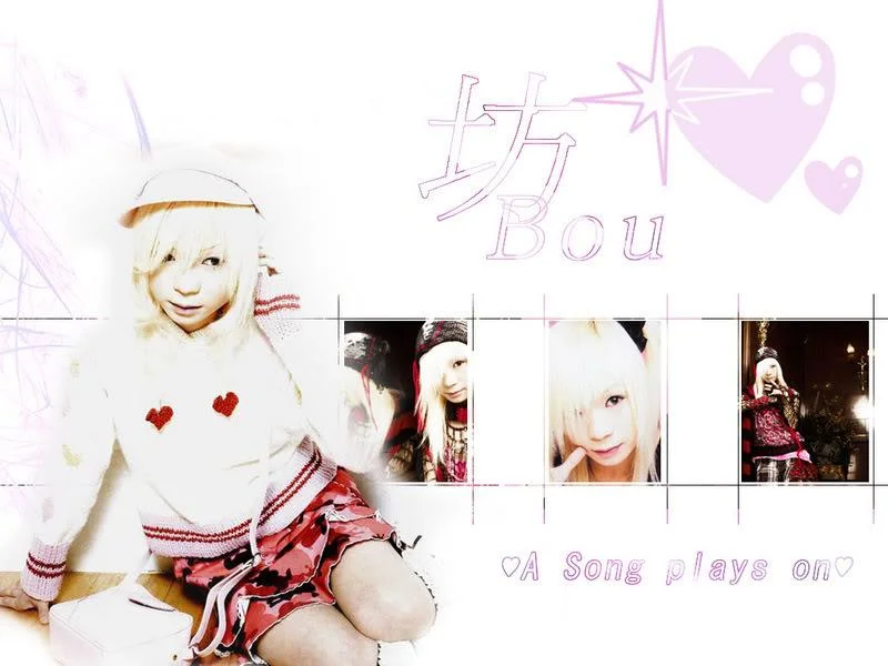 Bou-1.webp