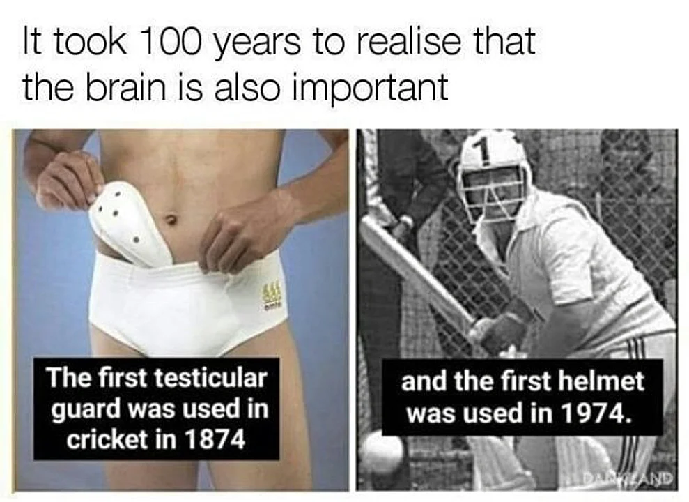 brain.webp