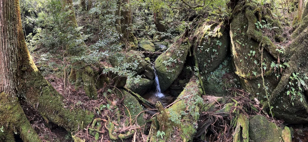 brook.webp