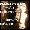 burningroseava2gif-1.webp