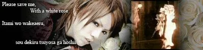burningroseshougif-1.webp