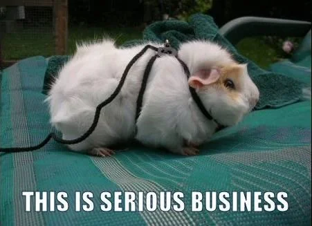 business-1.webp