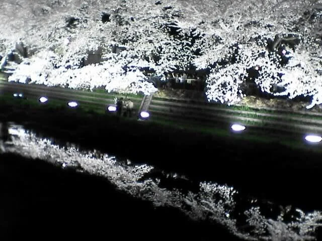 c0069380_1136114-1.webp