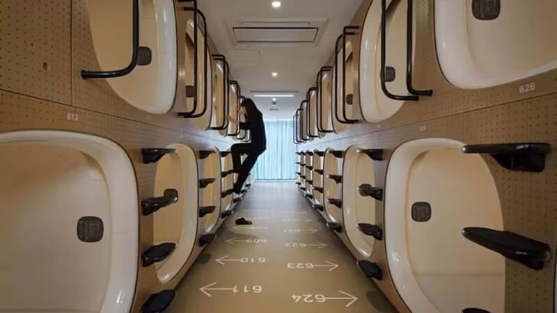 capsule.webp