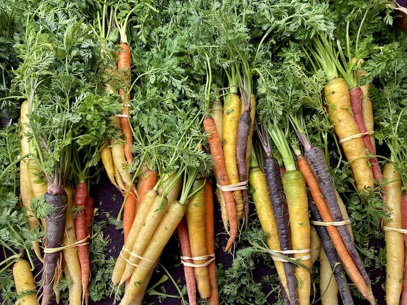carrots bunched.webp
