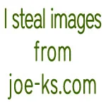 CatCarrier-1.webp