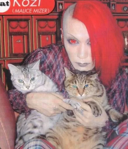 catsandkozi-1.webp