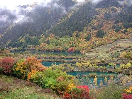 china01-1.webp
