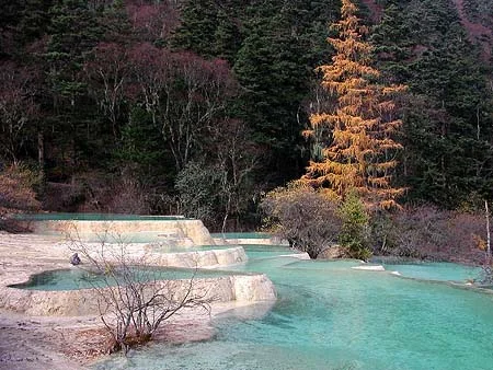 china02-1.webp