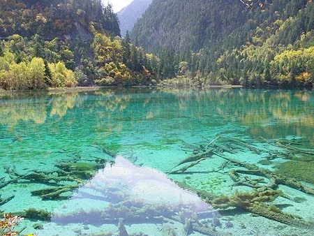 china08-1.webp