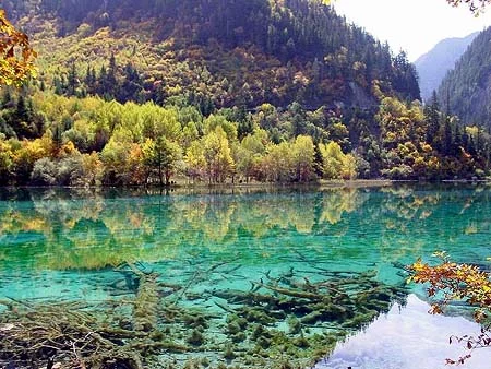 china09-1.webp