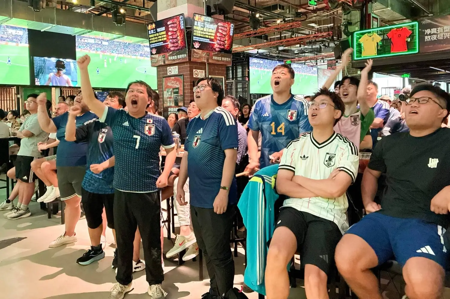 Chinese fans