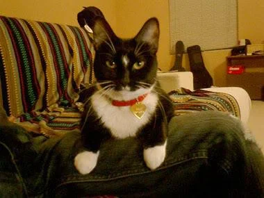 ChloeDec06-1.webp