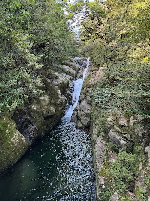 chute.JPG