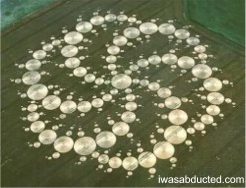 circle10-1.webp