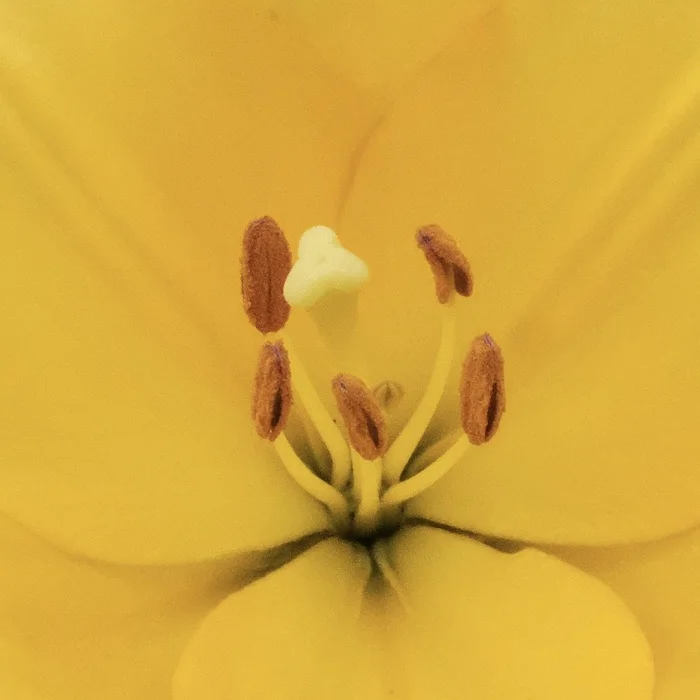 close up.JPG