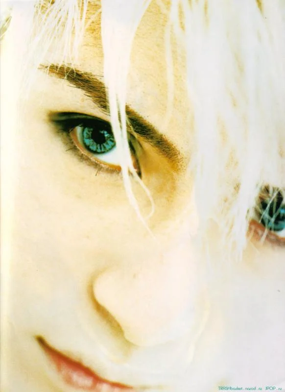 closeup-1.webp