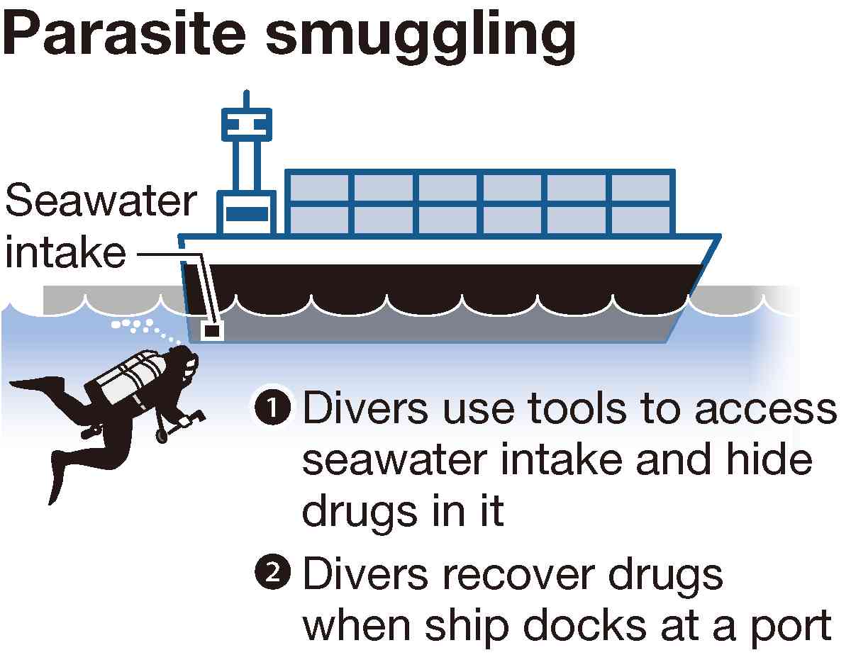 Parasite smuggling