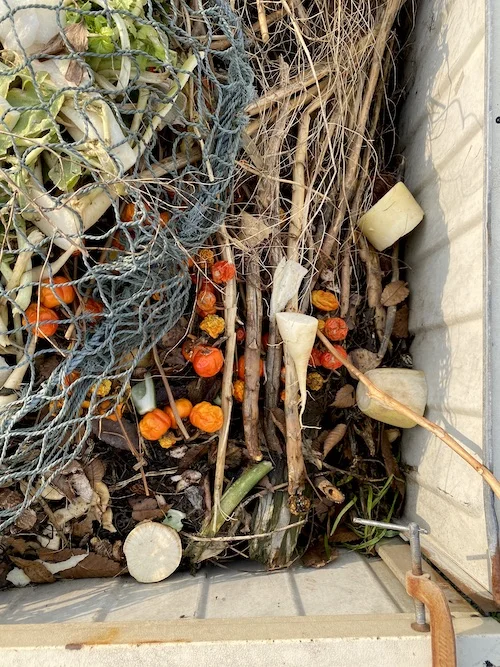 compost-2.webp