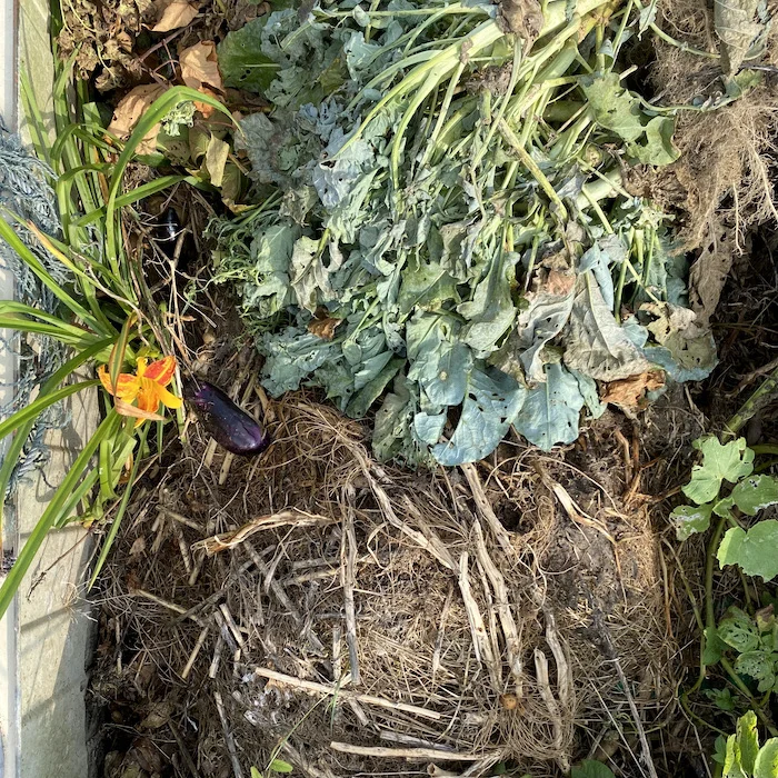 compost box.webp
