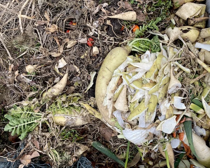 compost.webp