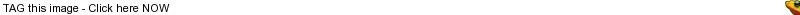 copyof37copycf55e3d21bca1-1.webp