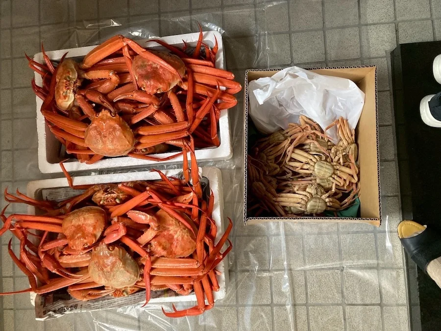 crabs.webp