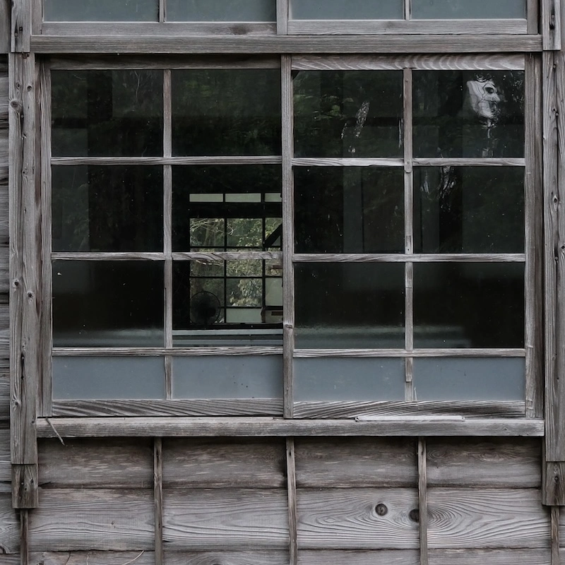 cropped.webp