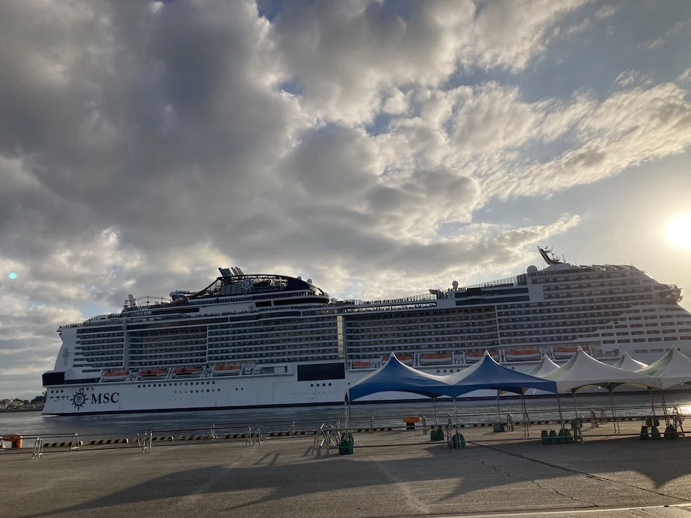 cruise ship.webp