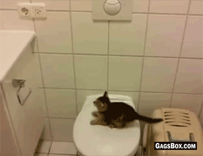 d401bc654047a3a21ea03d743cca25c5_3ta0.gif