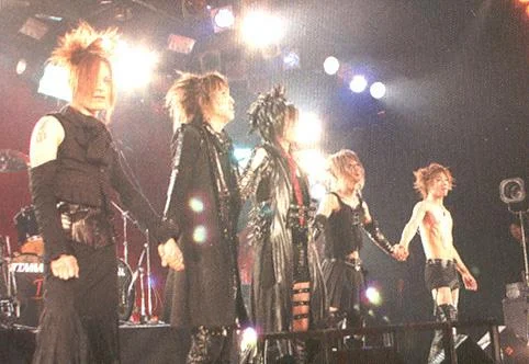 D50-1.webp
