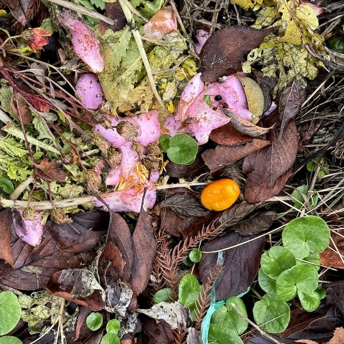 decay2.webp